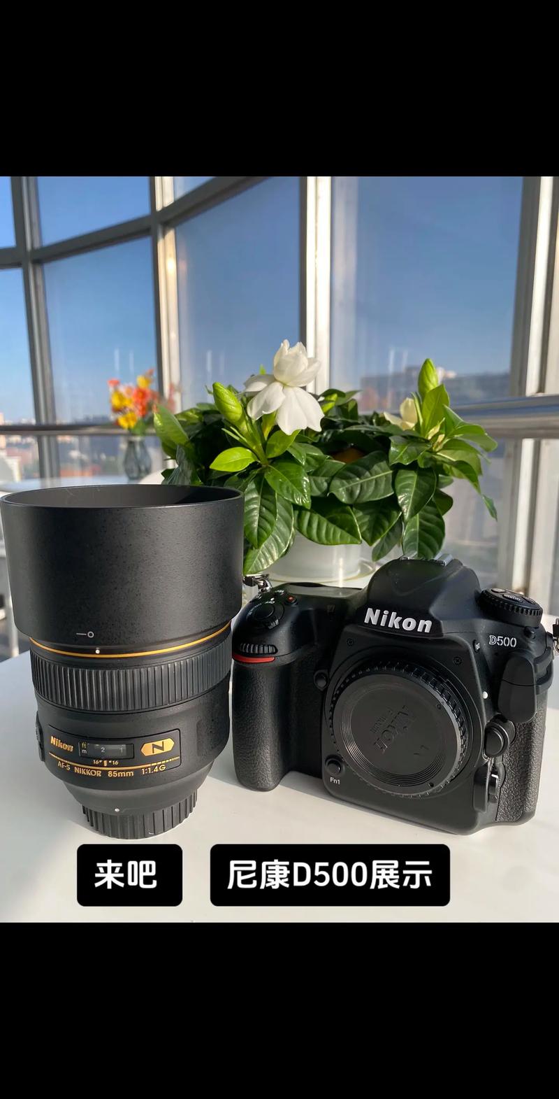 新手准备买一台单反,尼康的D3300,D5200哪个好些,大神们给个意见_百度知...