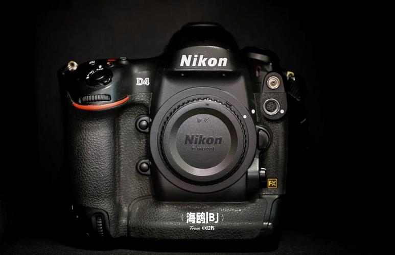 朝花夕拾:尼康800家族专业级单反D700,D800,D810,D850