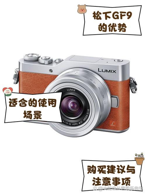 松一下GF9是比较好的家庭相机么?有网友了解吗?