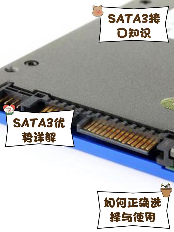 哪些主板开始采用SATA3.0硬盘接口
