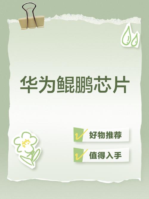 鲲鹏和升腾在预算有限的情况下怎么选