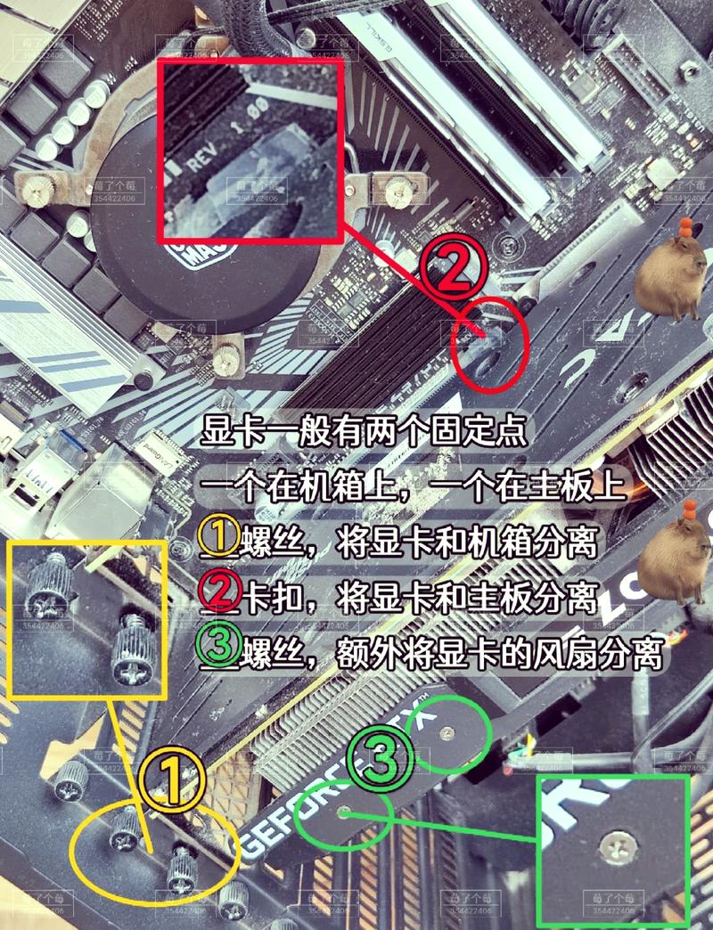 电脑显卡在哪个位置怎么取出来