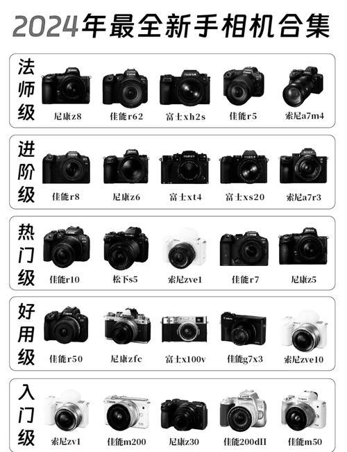 热销的4款佳能单反,哪款最值得入手?