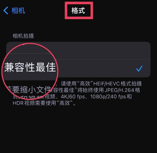 苹果手机相机怎么开启曝光调整