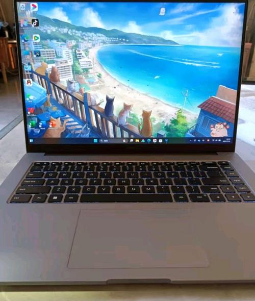 ...i510210U处理器加上MX250独显可以玩英雄联盟吗