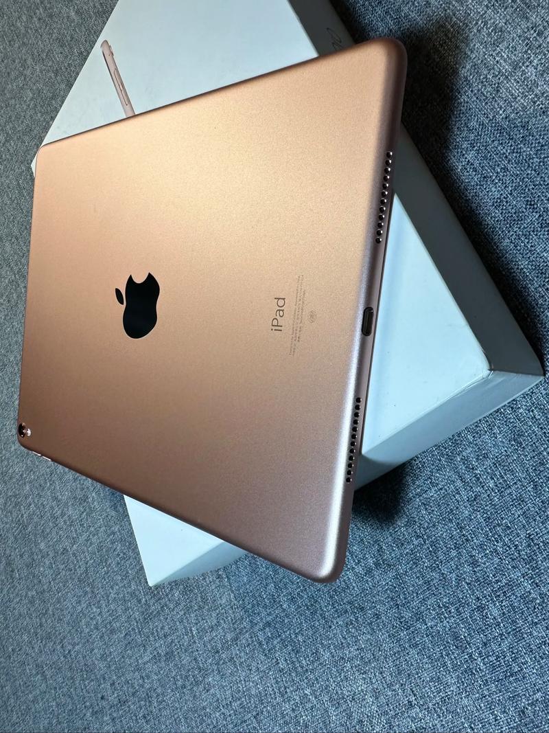 苹果7.9寸ipad是多大的