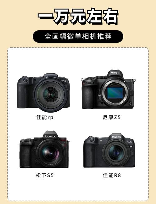 买个6千左右的单反相机