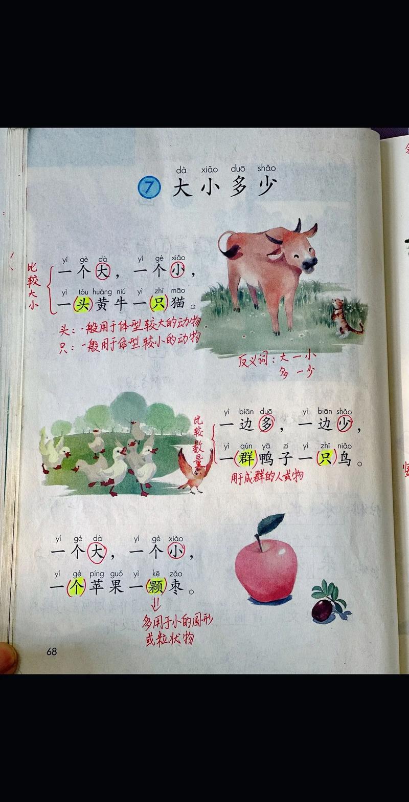 苹果拼音怎么拼写?