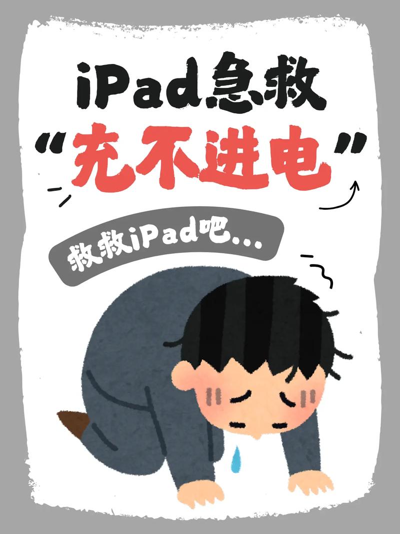 ipad充不进去电一直停在1%