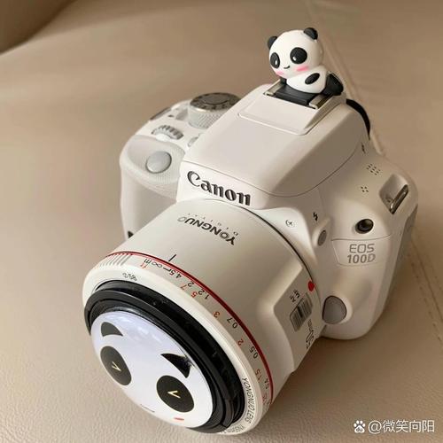 佳能中端单反相机排名哪个好买