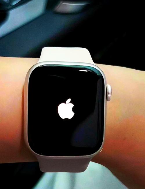 苹果手表可以刷抖音吗