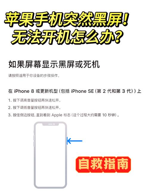 苹果6s突然黑屏怎么办