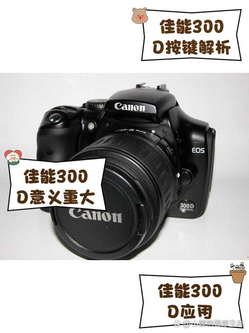 佳能300d和350d哪个好?