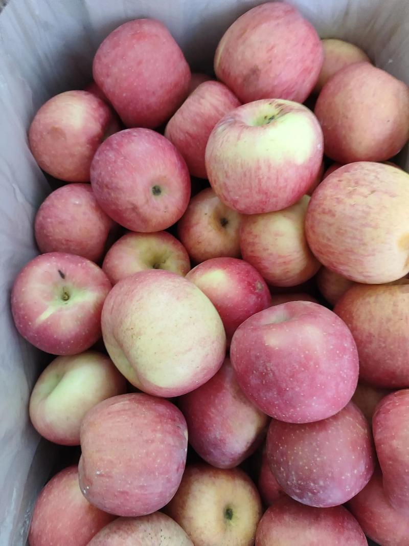 苹果4能卖多少钱(苹果4可以卖多少钱)