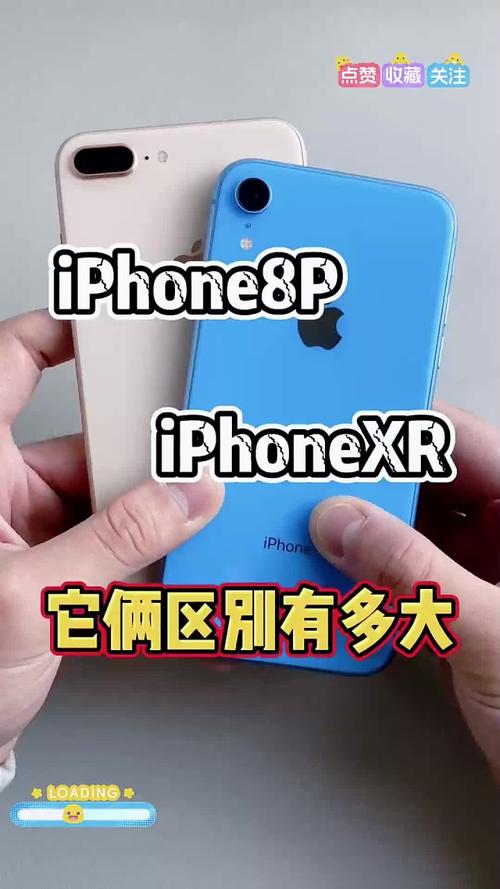 苹果8p与苹果xr的区别
