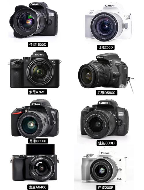 摄影入门买什么相机