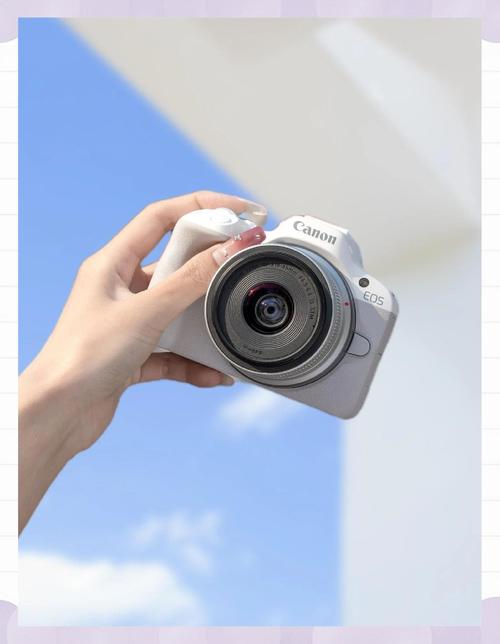 入门摄影买什么相机