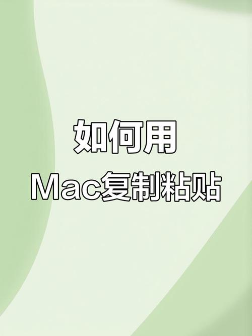 如何在电脑上复制和粘贴