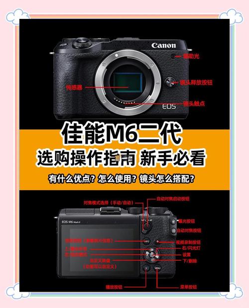 入门的单反相机佳能和尼康哪个好