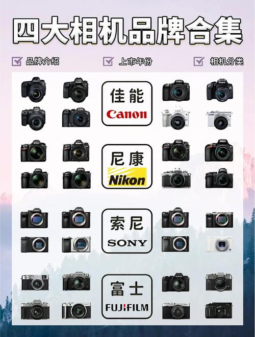 佳能单反和尼康单反哪个好?详细对比分析