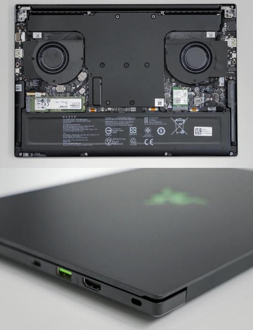 雷蛇的全称是什么?