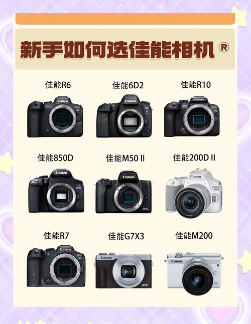 佳能值得入手的单反相机新手入门如何高性价比选取,佳能的单反哪一款适...