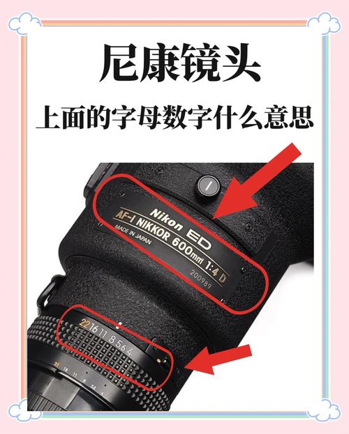 尼康是什么卡口