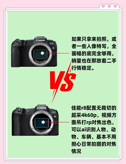 佳能eosr和r8怎么选