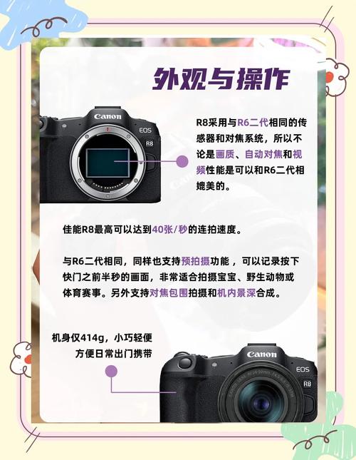 佳能eosr和eosrp对比