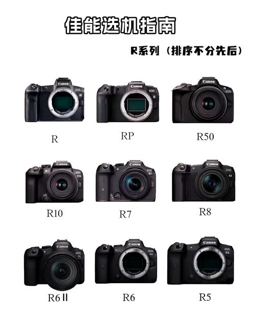 每天认识一台相机|今天是佳能R50