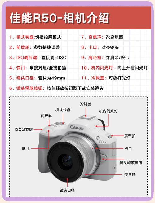 佳能r系列参数对比