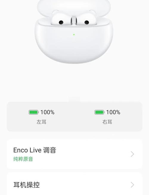 oppoencox2单次续航时间