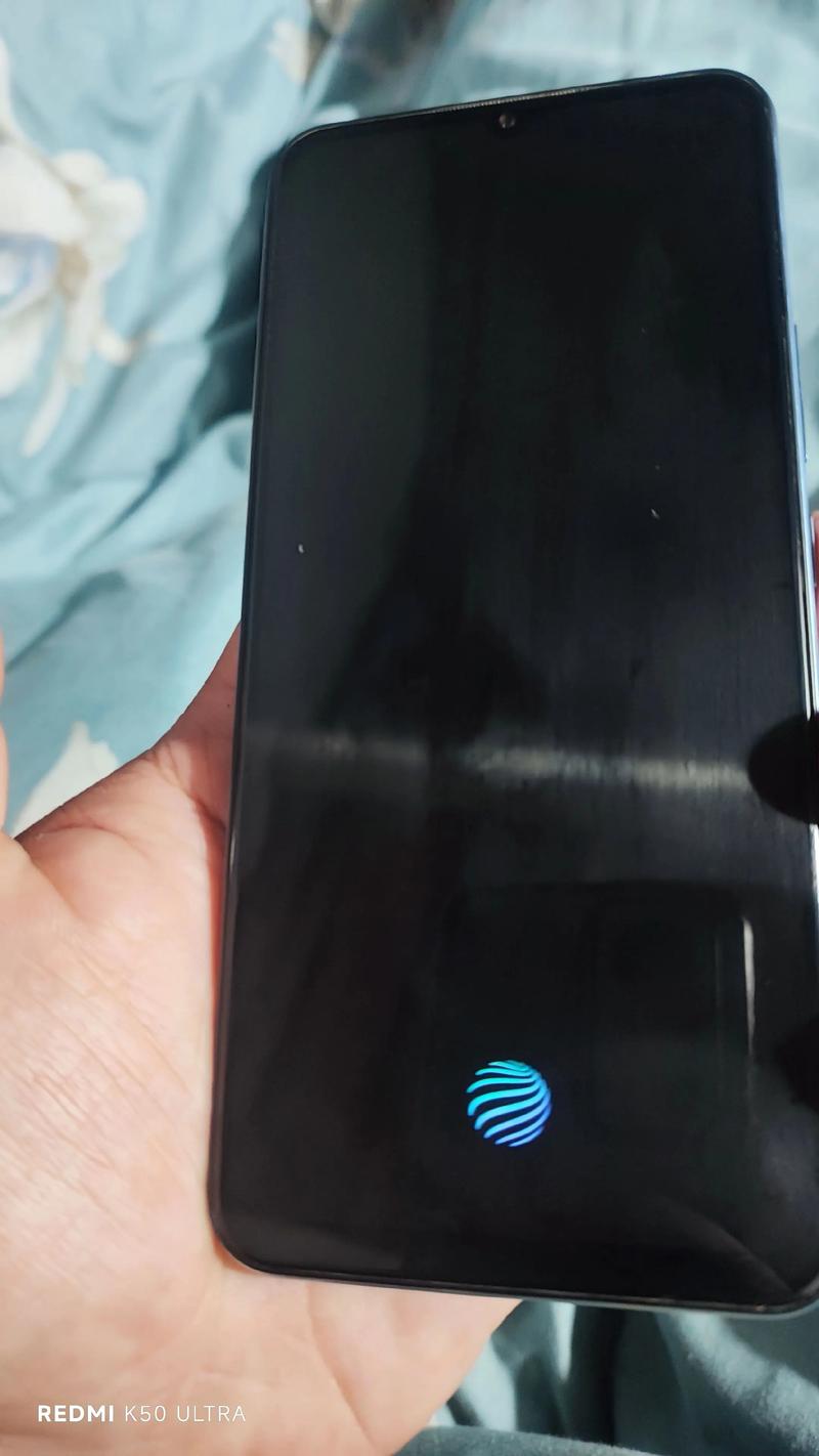 vivos10多少钱(Vivos10的费用是多少?)