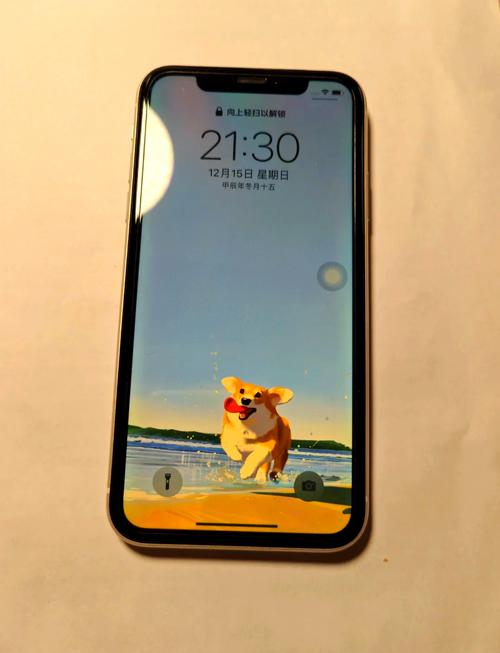 请问一下苹果19年出了几款手机