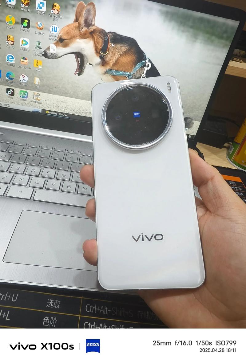 vivox系列属于什么档次