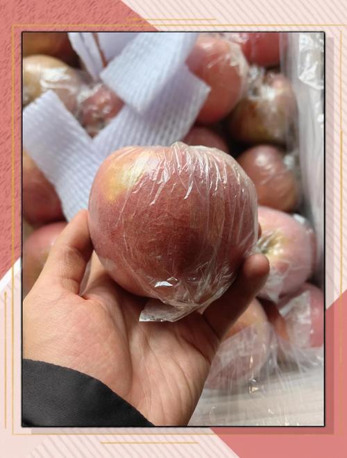 最近陕西礼泉秦冠价钱如何