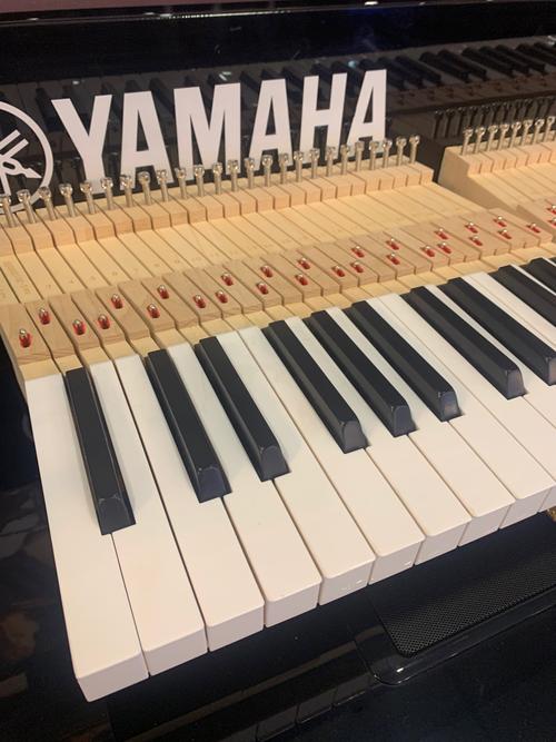 键盘是什么乐器呀、、、?