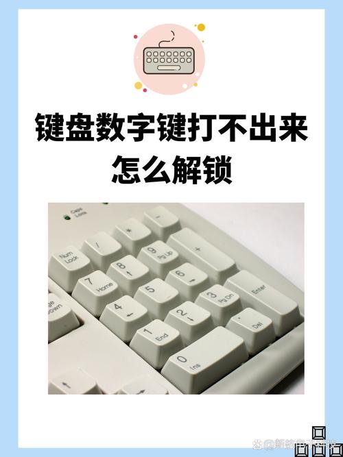 键盘数字键打不出来怎么解锁