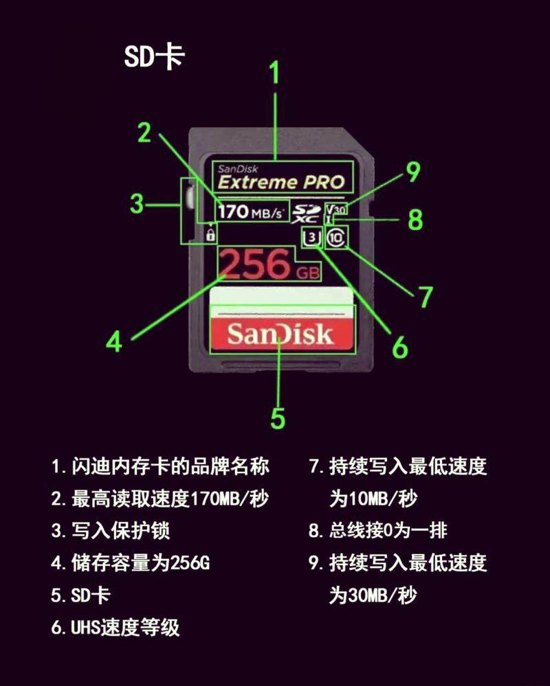 怎么把内存卡里的东西转到电脑里?