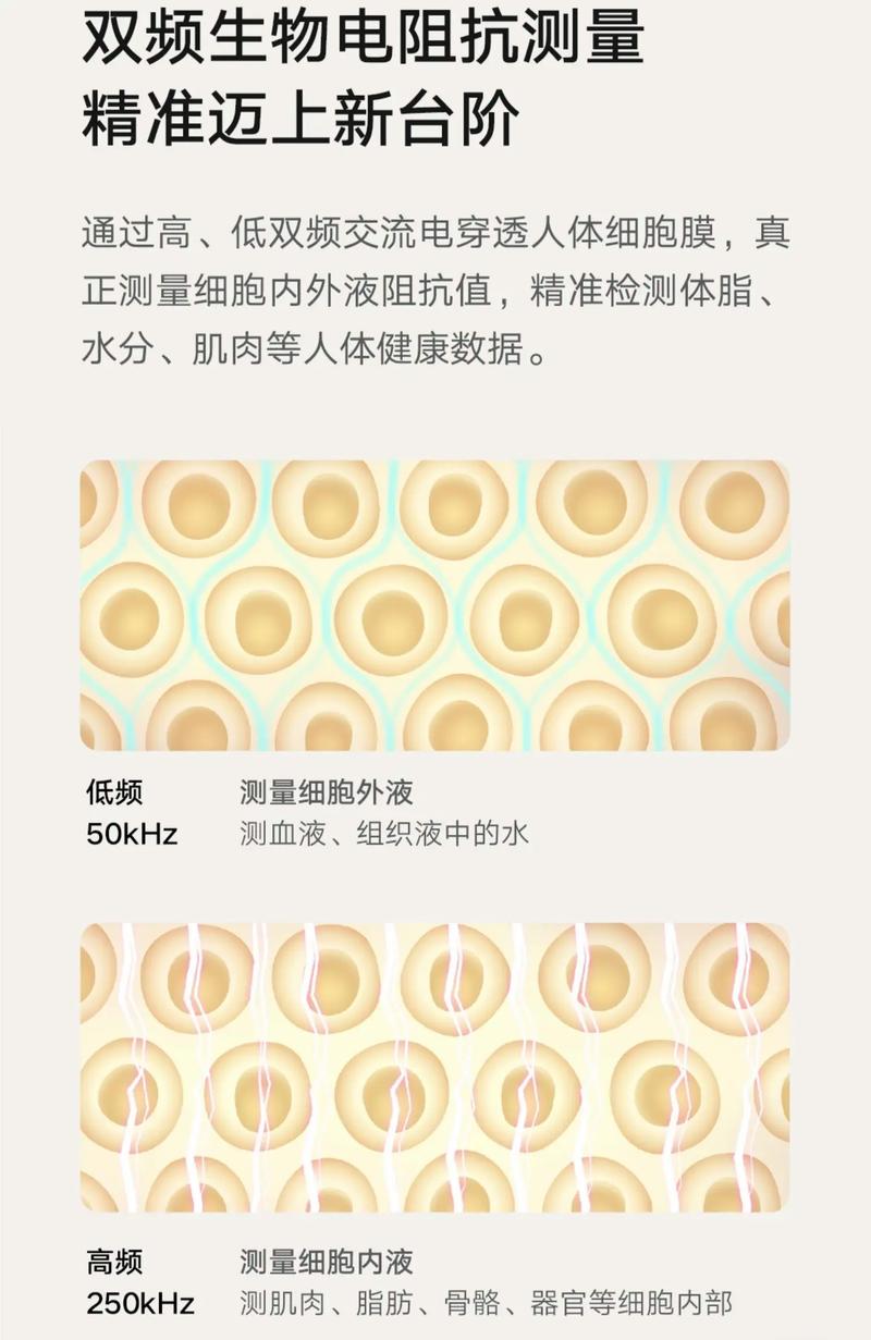 小米体重秤和体脂秤哪个好