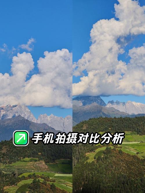 努比亚vivooppo荣耀拍照哪个好