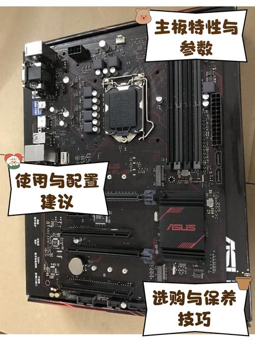 b250主板可以配哪些cpu