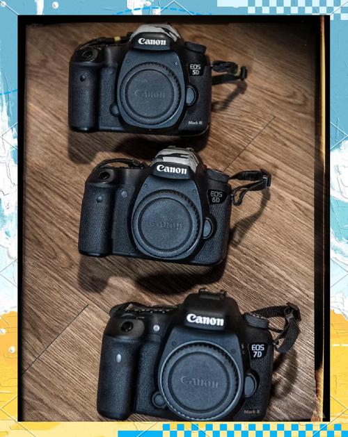 佳能5D、6D、7D哪个好?