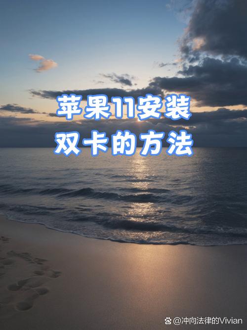 苹果11怎么装双卡