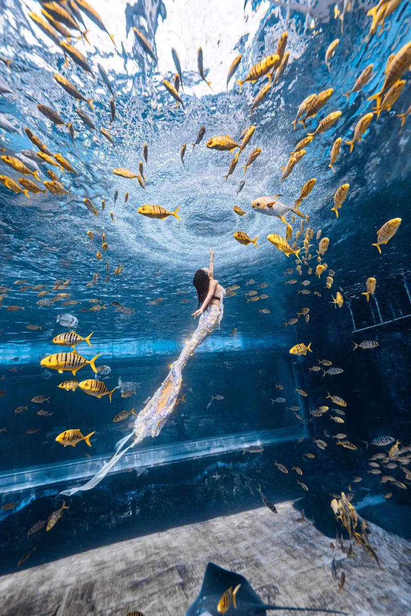 水下拍摄哪个相机好