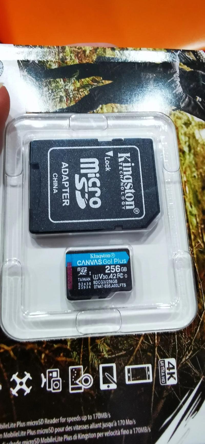 sd纯音乐卡多少钱一张