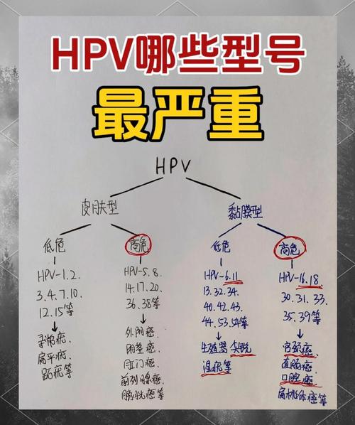 hpv病毒是什么?