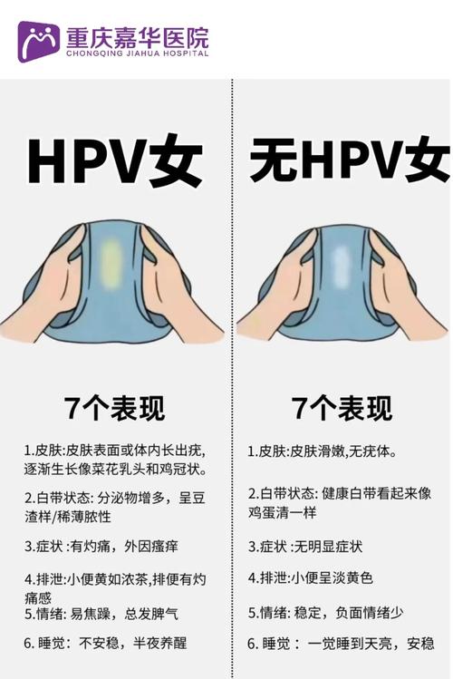 HPV是什么病毒简称