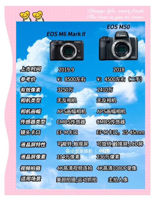 为什么佳能单反涨价了