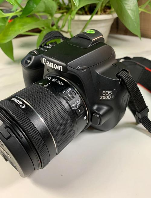 我想问一下佳能200d是什么意思